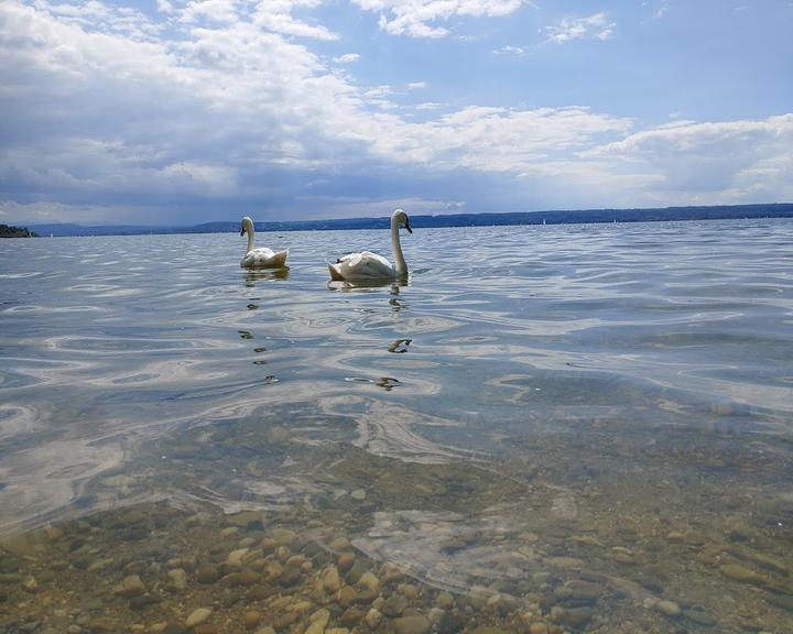 Strandbad Seewinkel